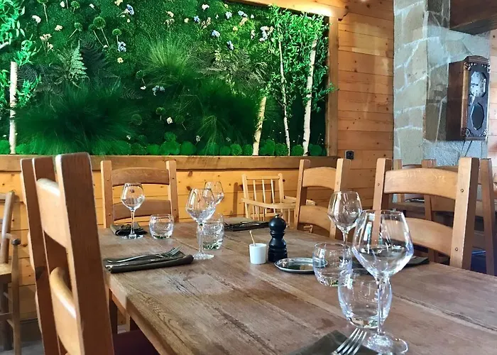 Otel Logis Les Ancolies 3*