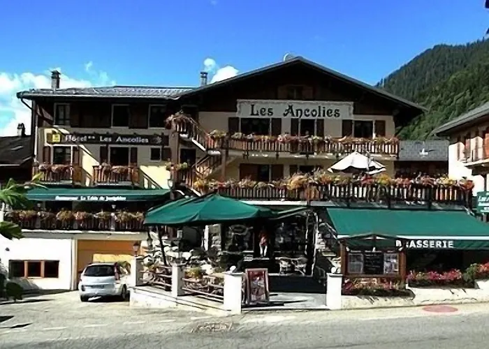 Otel Logis Les Ancolies 3*