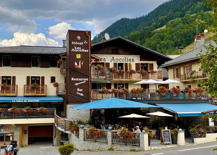 Logis Les Ancolies Otel 3*