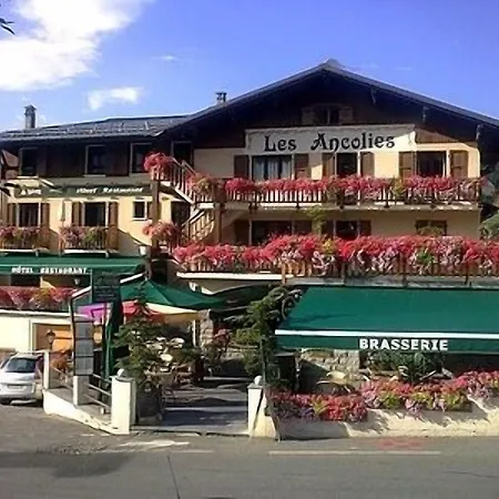 Les Ancolies à 3* Arèches